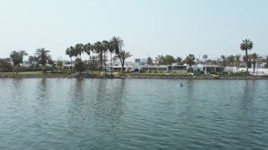 Arka planda birkaç palmiye ağacı olan sakin bir su kütlesi.