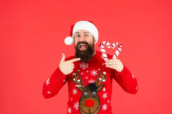 有人用手指指着红色背景的假日糖果棒 新年快乐 快乐的圣诞节 头戴圣爪帽的满脸胡须的男人 穿着冬季针织圣诞毛衣的野蛮嬉皮士 — 图库照片