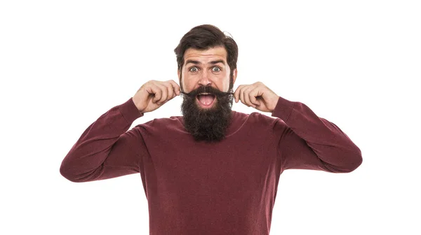胡子的风格 漂亮的模型白色背景 长胡子 整洁整洁的嬉皮士 理发店的概念 面部护发 成熟的男人留着长胡子和胡子的嬉皮士 胡子越来越大 — 图库照片