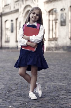 Gelecek için eğitim. Küçük çocuk okula geri döndü. İlkokul eğitimi. Okul kıyafet yönetmeliği. Özel ders. Özel ders. 1 Eylül. Başla. Bilgi toplama günü. Çocukluk eğitiminde mükemmellik.