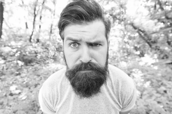 Unhappy Mature Bearded Man Beard Moustache Summer Forest Closeup Emotions — Stock Photo, Image
