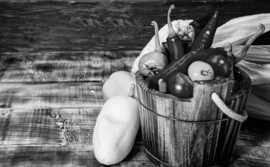 Bir kova taze biberli domates ve mısır koçanlı organik sebzeler doğal gıda ahşap arka plan fotokopi alanı, vejetaryen pişirme.