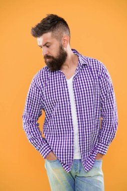 sarı arka planda sakallı karizmatik bir adam. Erkek modası ve bahar stili. Olgun ciddi adam. Yaz hipsterı. Damalı gömlekli vahşi sakallı hipster. erkek sakal şekillendirme. trendy erkek.