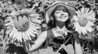 Küçük kız kırsal tarzda ayçiçeklerinin arkasına saklanıyor, mutlu bir çocukluk.