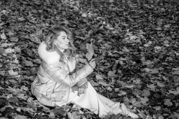 Przygotuj Się Zimną Pogodę Piękna Dziewczyna Siedzi Opadłych Liściach Upadek — Zdjęcie stockowe