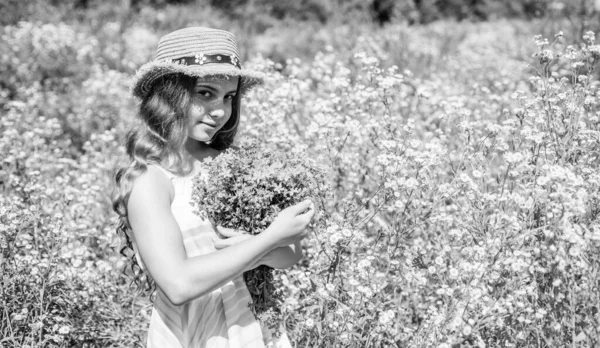 Chica Feliz Recogida Flores Silvestres Soleado Día Verano Cosecha Secado — Foto de Stock