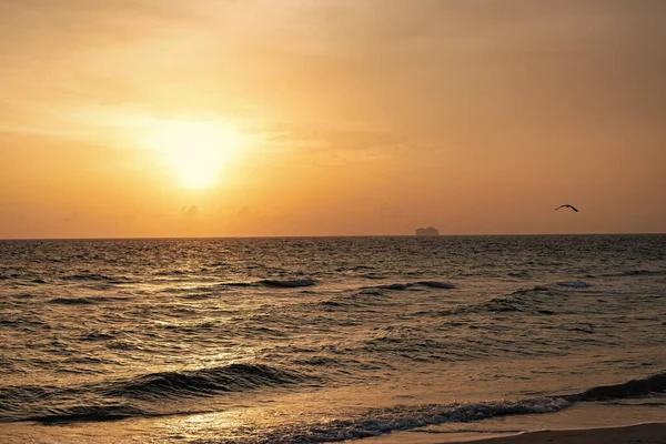 Wybrzeże Falami Morskimi Toczącymi Się Podczas Zachodu Słońca Pod Wieczornym — Zdjęcie stockowe