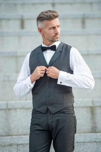 Caucasian Elegant Man Bowtie Grizzled Man Formalwear Tux Man Bridegroom — Stock Photo, Image