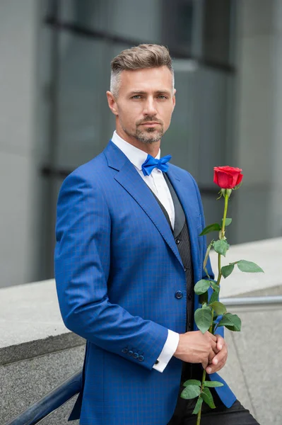 valentines day concept. tuxedo man with valentines rose. flower gift for valentines day.