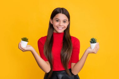 Sarı arka planda kaktüsü olan gülümseyen çocuk..