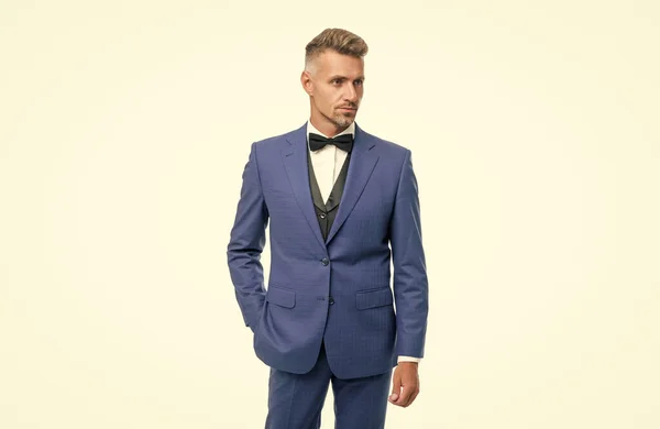 grizzled man in bow tie blue suit. businessman isolated on white. gentleman in formal wear.