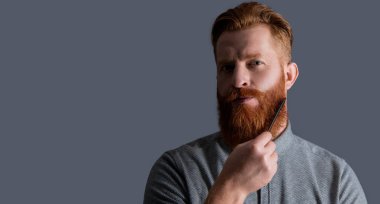 Sakal tarayan sakallı bir adam. Gri arka planda, fotokopi alanı ile izole edilmiş. Saçlarını tarayan sakallı bir adam. Adamın stüdyoda sakalı var. Adam saç tarağıyla sakal tarıyor. tarama ve biçim verme.