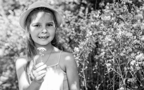 Small Kid Blond Hair Sun Hat Hold Chamomile Flower Bunch — Stock Photo, Image
