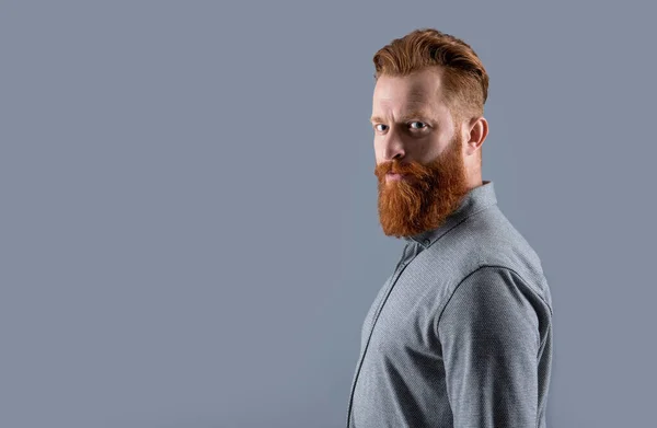 Бородатий Чоловік Довгою Бородою Ізольований Сірому Фоні Копіює Простір Студійний — стокове фото