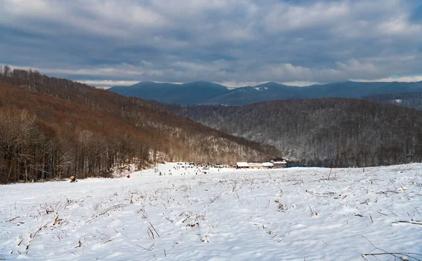 Śnieżne Zbocze Góry Zachmurzonym Niebie Zimą Pokryty Lasem Krajobraz Górski — Zdjęcie stockowe