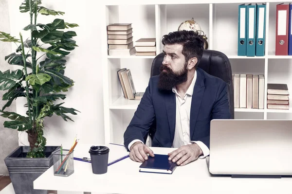 Συνηθισμένη Μέρα Στο Γραφείο Άνθρωπος Γένια Hipster Αφεντικό Κάθεται Στο — Φωτογραφία Αρχείου