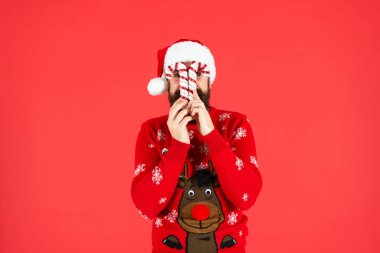 Noel Baba şapkalı sakallı adam. Kışın örgü kazak giyen vahşi bir hippi. Kırmızı arka planda tatil dekorasyonunun arkasındaki olgun adam. Mutlu yıllar. Mutlu Noeller..