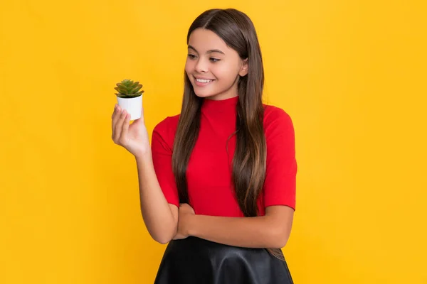 stock image happy child with cactus in pot on yellow background.