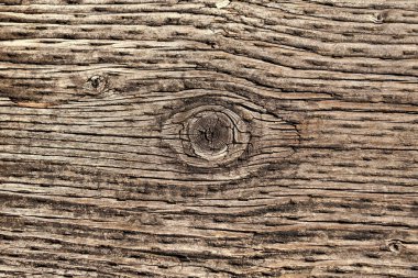 Ahşabın dokusu. Arkaplanın ahşap dokusu. Kereste dokusu arkaplanı. Ağacın kesiti. Kimseyle ahşap bir geçmişi yok. Yakın çekim.
