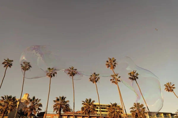 大肥皂泡鼓风机在蓝色的天空中在棕榈树间飞舞 鼓风机在房子附近 — 图库照片