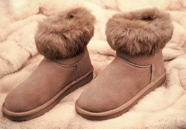 ankle boots on blue background. shoe store. shopping concept. female leather stylish footwear. pair of fashionable leather ugg boots with fur.