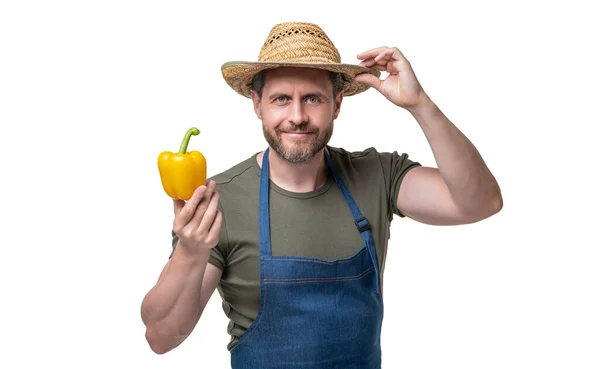 Muž Zástěře Klobouk Sladkou Paprikou Zelenina Izolované Bílém — Stock fotografie