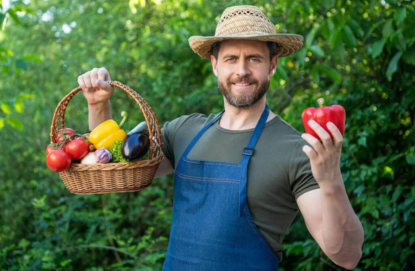 Άντρας Ψάθινο Καπέλο Κρατάει Καλάθι Γεμάτο Λαχανικά Βιολογικά Τρόφιμα — Φωτογραφία Αρχείου
