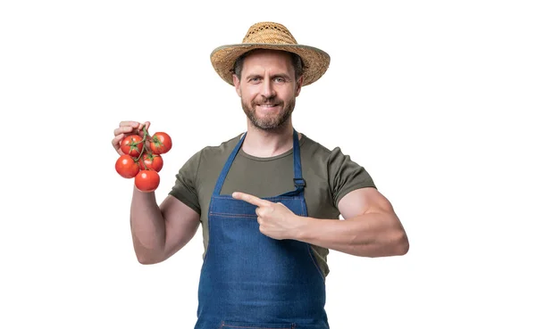 앞치마를 모자를 토마토 야채를 흰색으로 놓았습니다 집게손가락 — 스톡 사진