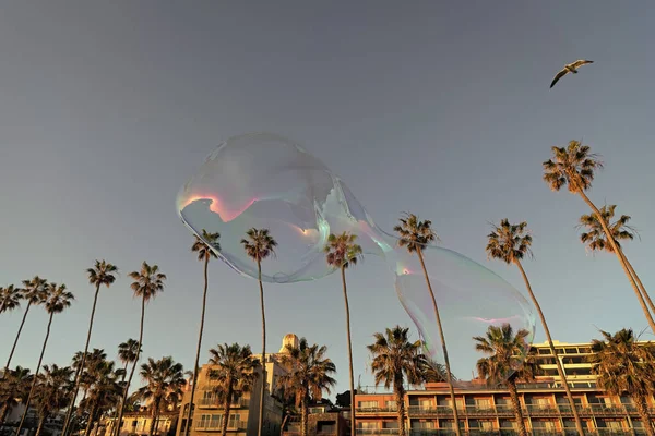 在建筑物附近的棕榈树中间 肥皂泡在清澈的天空中飞舞 — 图库照片