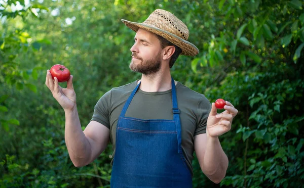 Man Tuinman Strohoed Met Tomatengroente — Stockfoto