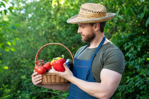 Άνδρας Ψάθινο Καπέλο Κρατά Καλάθι Γεμάτο Ώριμα Λαχανικά — Φωτογραφία Αρχείου