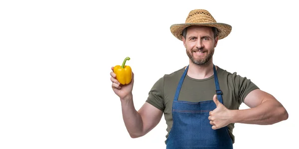Man Met Schort Hoed Met Paprika Groente Geïsoleerd Wit Duim — Stockfoto
