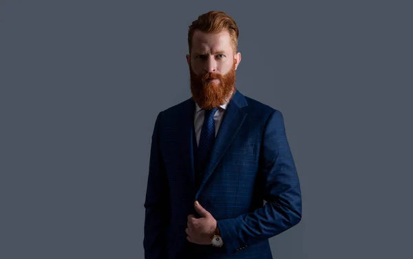 Caucasian Businessman Suit Isolated Grey Background Businessman Wear Formalwear Studio — Stock Photo, Image