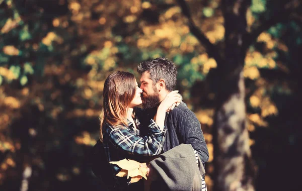 愛のカップルの秋の公園で散歩します 関係は 落下時間の概念 女の子やひげを生やした男の日に幸せな恋人は 抱擁し キスします 男性と女性の自然な背景の幸せそうな顔 — ストック写真