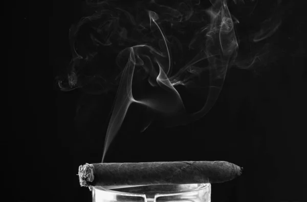 Steaming Cuban Cigar Smoke Puff Dark Background Smoking — Stock fotografie
