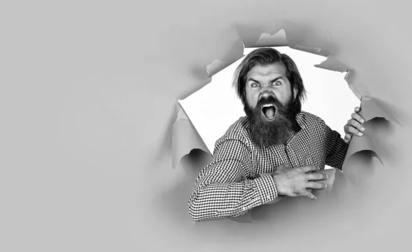 Angry Bearded Man Brutal Caucasian Hipster Express Anger Human Emotions — Stock Photo, Image