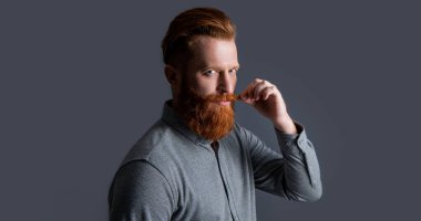 Traşsız adamın stüdyo fotoğrafı. Bıyık ve sakal bakımı. Yakışıklı, sakallı ve bıyıklı. Gri arka planda sakallı ve bıyıklı traşsız bir adam..