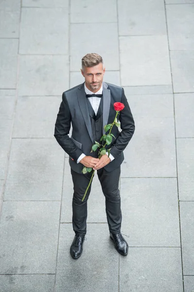 engagement date. mature tuxedo man celebrates engagement. man with rose gift for engagement.