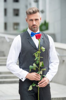 Aşk günü konsepti. Aşk gülü ile boz smokin giyen adam. Aşk günü için çiçek hediyesi..