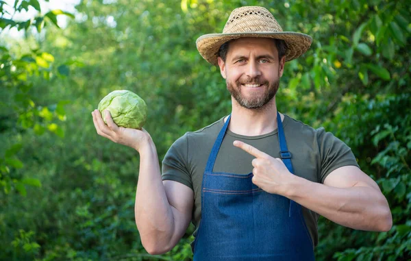man greengrocer in straw hat point finger on cabbage vegetable.