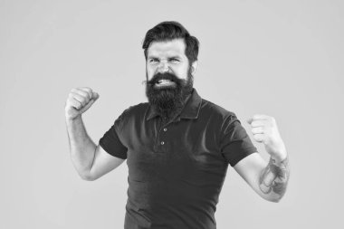 Sarı arka planda kendine güvenen ve yakışıklı sakallı bir adam. Saç ve sakal bakımı. agresif erkek portresi. Sakallı, olgun bir hippi. Bıyıklı, vahşi beyaz adam..