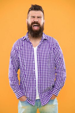 Sarı arka planda sakallı duygusal bir adam. Kareli gömlekli kaba sakallı hippi. Yaz hippisi. Erkek modası bahar tarzı. Olgun, mutlu bir adam. pozitif duygular. duygu ve duygu kavramı.