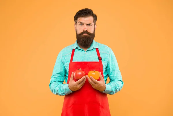 lets cook ketchup. bearded man chef with tomato. healthy food cooking. organic food diet. health benefits of tomato. dietary source of vitamins. brutal cook in apron. vegetable eating tips.