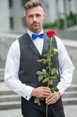 Sevgililer Günü konsepti. Sevgililer günü gülü olan romantik smokinli adam. Sevgililer Günü için çiçek hediyesi.