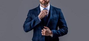 Patronun takım elbiseli hâli. Resmi kıyafet patronu gri arka planda izole edilmiş. Patron stüdyoda resmi kıyafet giyiyor. Patronun fotoğrafı. Forma giy..