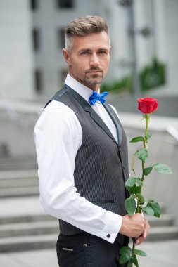 Aşk günü konsepti. Aşk gülü olan karizmatik smokin giyen adam. Aşk günü için çiçek hediyesi..