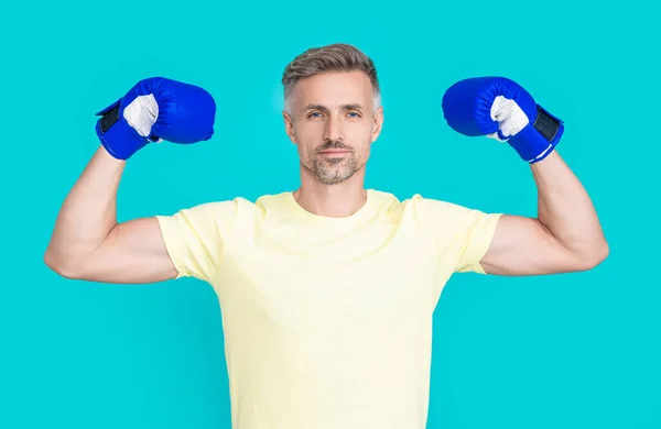 strong man boxer in sport boxing gloves isolated on blue. man boxer in sport boxing gloves at studio. man boxer in sport boxing gloves on background. photo of man boxer in sport boxing gloves.