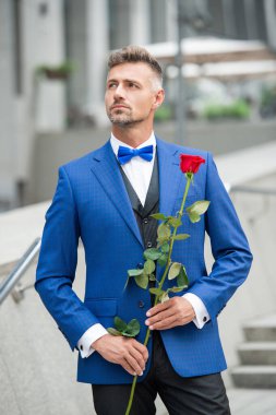 Smokinli yakışıklı adam. Smokin giymiş, papyonlu bir adam. Kırmızı güllü yakışıklı smokinli adam..