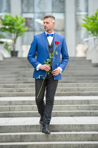 elegant man bridegroom in tuxedo. bridegroom wearing tuxedo bowtie outdoor. grizzle bridegroom with red rose.
