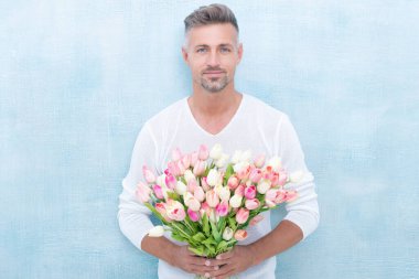 man with spring tulips in studio. man with spring tulips isolated on blue background. photo of man with spring tulips. man with spring tulips.